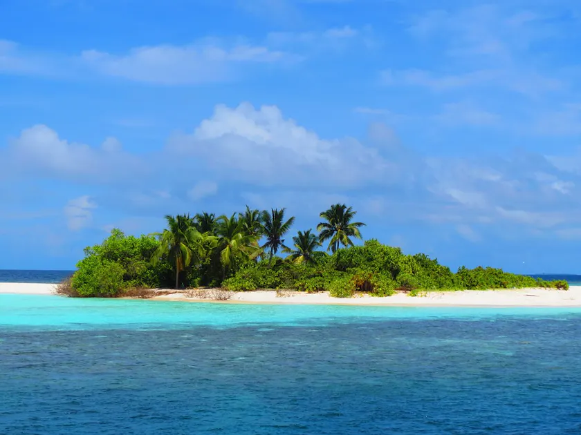 Maldives Lakshadweep Chagos Archipelago Tropical Moist Forests One Earth
